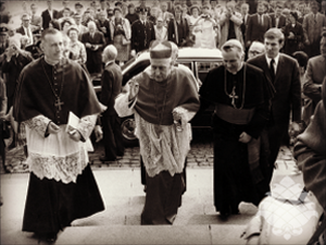 Pastor Fidelissimus 2