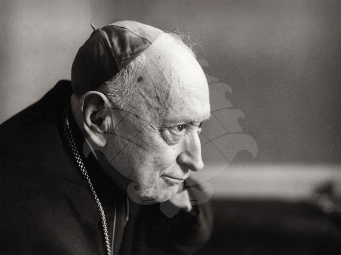Mindszenty József